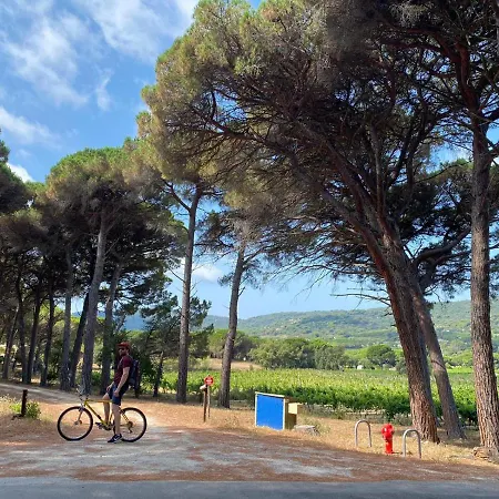Campingplads Chalet Pampelonne St Tropez *